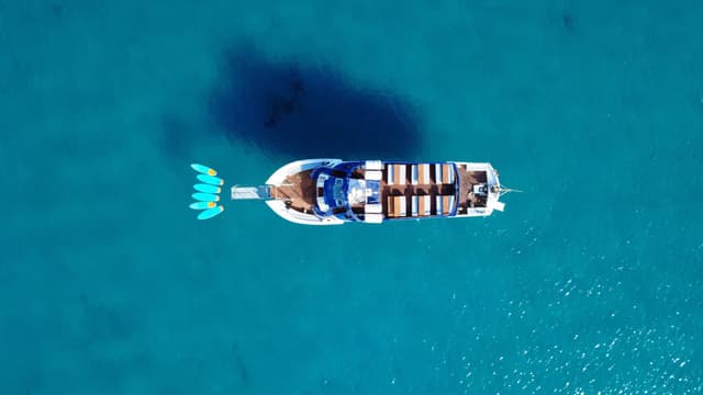 The Formentera Cruise