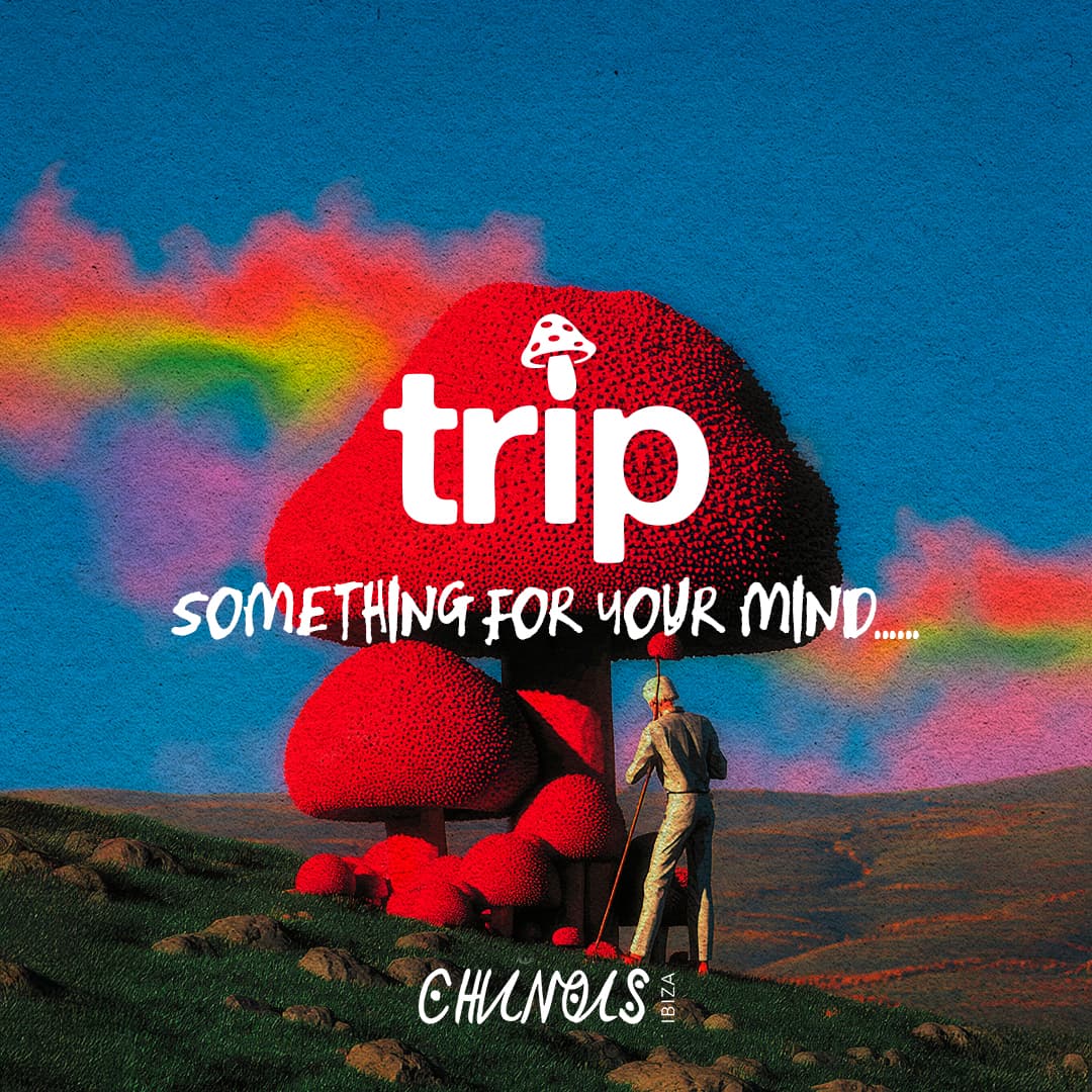 TRIP 3