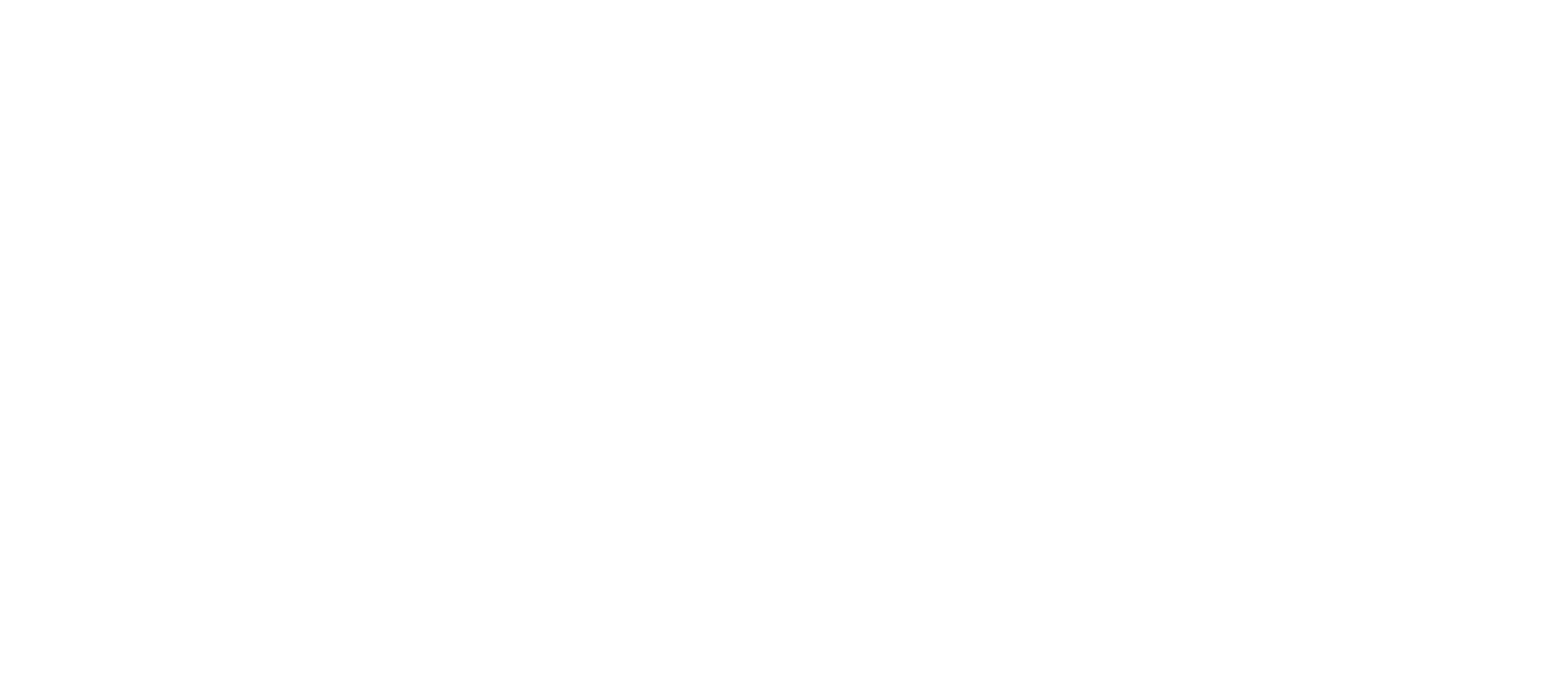528 Ibiza logo