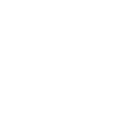 Lío logo