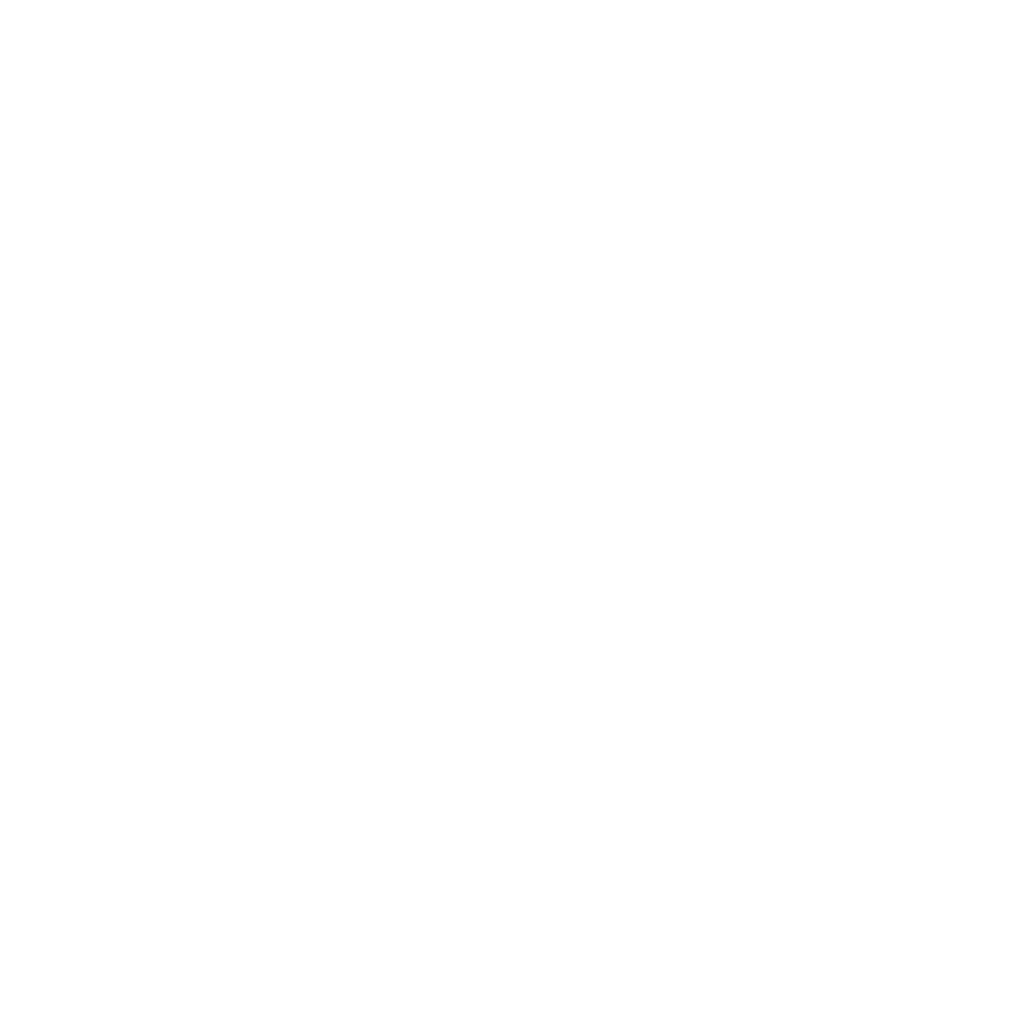Baloo Ibiza logo