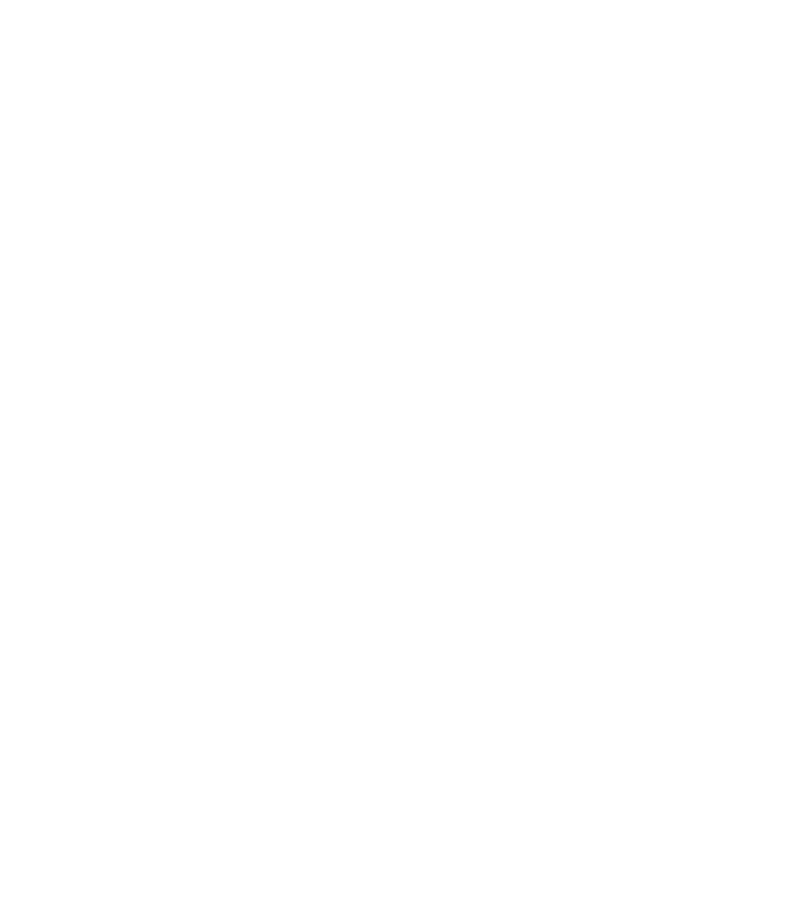 Ibiza Rocks logo