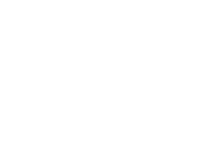 Es Paradis logo