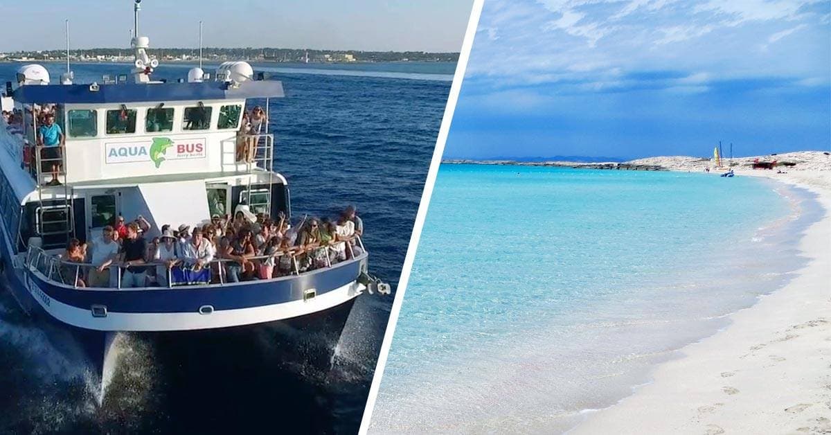 Beach City Boat (Ibiza city - Playa d'en Bossa) 2